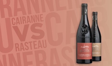 VINS DOMAINE MARTIN  CAIRANNE & RASTEAU en soldes chez 1JOUR1VIN