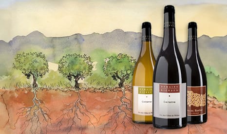 VINS BIO DOMAINE RICHAUD en vente privilège sur 1JOUR1VIN