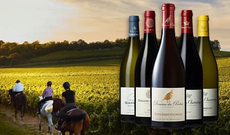 VINS DOMAINES DEVILLARD  BOURGOGNE pas cher chez 1JOUR1VIN