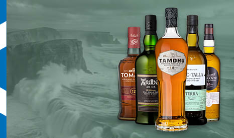 VINS SELECTION WHISKIES D'ECOSSE en vente flash sur 1JOUR1VIN