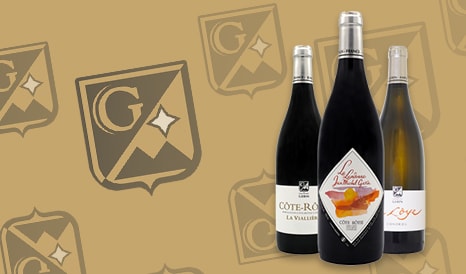 VINS BIO JEAN-MICHEL GERIN en promo sur 1JOUR1VIN