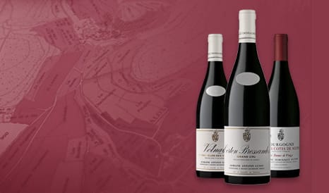 VINS ANTONIN ET DOMINIQUE GUYON en vente privilège chez 1JOUR1VIN