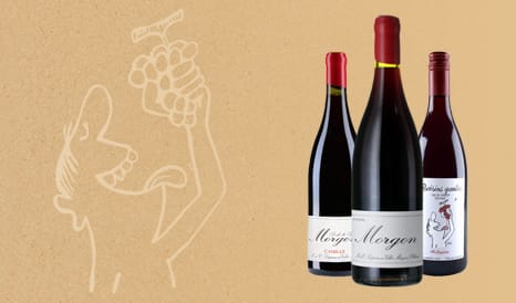 VINS BIO MARCEL LAPIERRE en promo chez 1JOUR1VIN