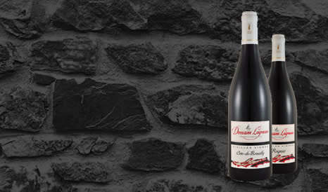 VINS COTE DE BROUILLY - REGNIE en promo sur 1JOUR1VIN