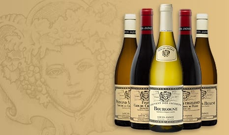 VINS LOUIS JADOT   GRAND NOM BOURGUIGNON en vente privilège chez 1JOUR1VIN