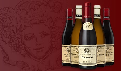 VINS LOUIS JADOT   GRANDS VINS DE BOURGOGNE à bas prix sur 1JOUR1VIN
