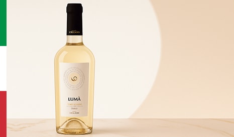 VINS LUMA GRILLO  NOUVEAUTE SICILIENNE ! pas cher sur 1JOUR1VIN