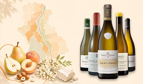 Terroir du Mâconnais !