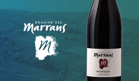VINS MORGON CORCELETTE 91+ PARKER en soldes chez 1JOUR1VIN