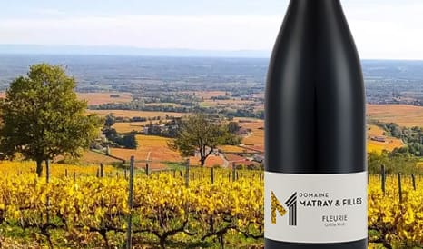 VINS BIO FLEURIE GRILLE-MIDI  90 PARKER en soldes sur 1JOUR1VIN