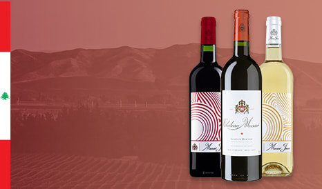 VINS CHATEAU MUSAR  LIBAN en promo chez 1JOUR1VIN