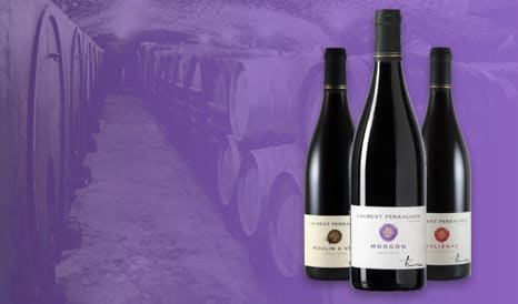 VINS LAURENT PERRACHON  CRUS DU BEAUJOLAIS en vente privée sur 1JOUR1VIN