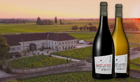 VINS AU PIED DU MONT CHAUVE  SAINT AUBIN 1ER CRU en vente privilège chez 1JOUR1VIN
