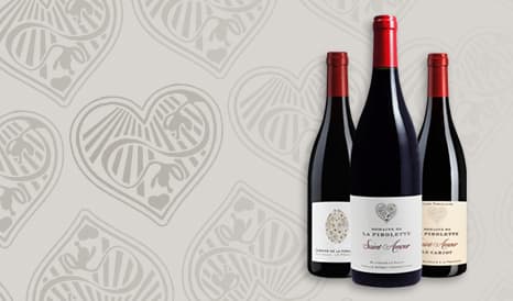 VINS PIROLETTE, AMBASSADEUR DE SAINT-AMOUR pas cher sur 1JOUR1VIN