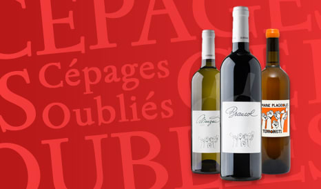 VINS BIO CEPAGES OUBLIES DU SUD-OUEST en vente privilège chez 1JOUR1VIN