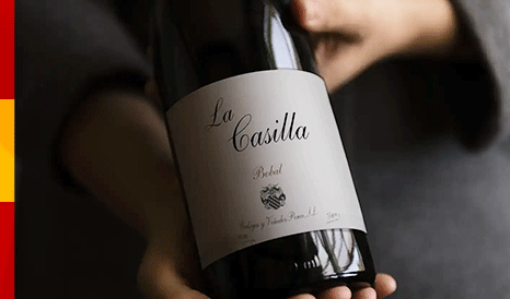 VINS BIO BODEGAS PONCE  MILLESIME 2024 en vente privilège sur 1JOUR1VIN