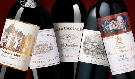 VINS 2022, LE MILLESIME DU SIECLE ! à super prix sur 1JOUR1VIN