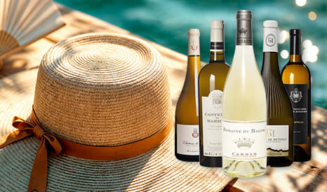 VINS BIO BLANCS DES TERROIRS PROVENCAUX ET CORSES pas cher chez 1JOUR1VIN