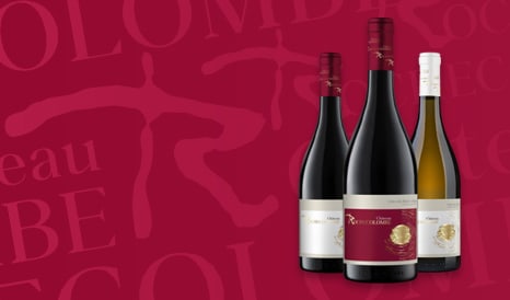 VINS BIO COTES-DU-RHONE & VILLAGES BIO à prix discount chez 1JOUR1VIN