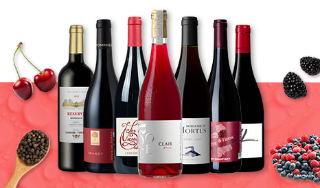 VINS BIO ROUGES D'ETE pas cher sur 1JOUR1VIN
