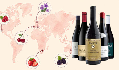 Autour du Monde : Vins rouges fins et soyeux