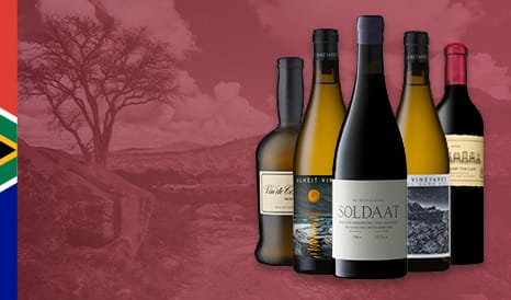 VINS BIO RARETES D'AFRIQUE DU SUD en vente flash chez 1JOUR1VIN
