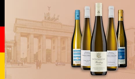 VINS BIO ALLEMAGNE, GRANDS RIESLING en soldes chez 1JOUR1VIN