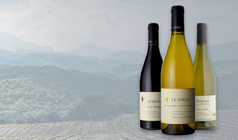 VINS BIO LE SOULA en vente privilège sur 1JOUR1VIN