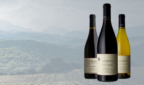 VINS BIO LE SOULA, GENIE DU ROUSSILLON ! en soldes sur 1JOUR1VIN