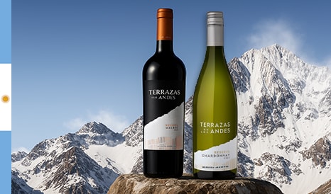 VINS TERRAZAS DE LOS ANDES  MENDOZA en vente flash chez 1JOUR1VIN