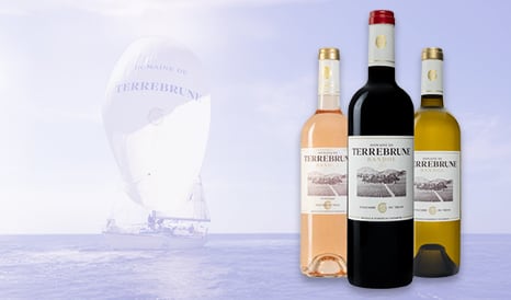 VINS BIO TERREBRUNE  BANDOL en vente privée sur 1JOUR1VIN