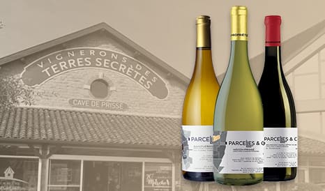 VINS BOURGOGNE A PRIX PLAISIR ! en promo chez 1JOUR1VIN