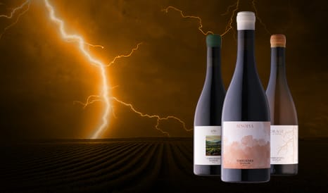 VINS BIO TORREDEMER-MANGIN en vente flash sur 1JOUR1VIN