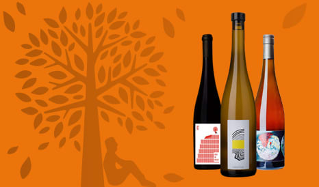 VINS BIO VIGNOBLE DU REVEUR en promo sur 1JOUR1VIN