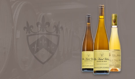 VINS BIO ZIND-HUMBRECHT  GRAND D'ALSACE pas cher sur 1JOUR1VIN