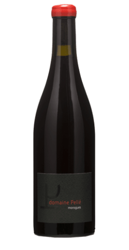 Domaine Pellé - Menetou-Salon Morogues rouge 2023