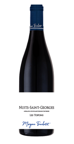 Morgan Truchetet - Nuits-Saint-Georges "Les Topons" 2018