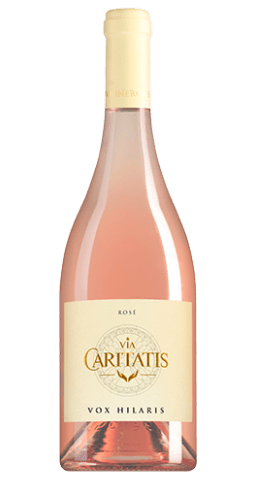 Via Caritatis - Ventoux Vox Hilaris 2024