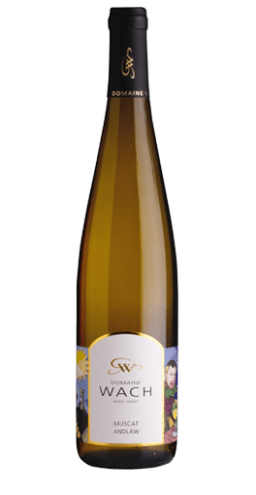 Domaine Wach- Muscat Andlaw 2023 (sec)