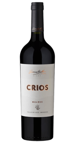 Susana Balbo - Vallée d'Uco Crios Malbec 2020