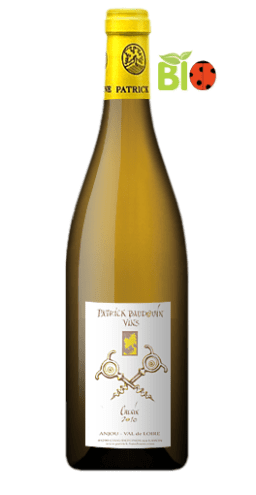 Domaine Patrick Baudouin - Anjou 2010