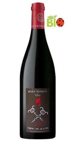 Domaine Patrick Baudouin - Anjou 2011