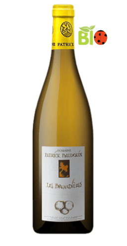 Domaine Patrick Baudouin - Coteaux du Layon Les Bruandières 2013
