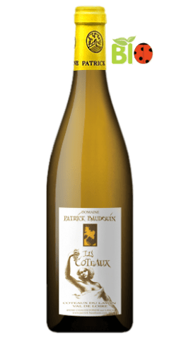 Domaine Patrick Baudouin - Les Coteaux 2013