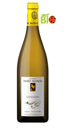 Domaine Patrick Baudouin - Anjou Les Saulaies 2010