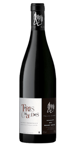 Thierry Germain - Domaine des Roches Neuves - Terres Chaudes 2022