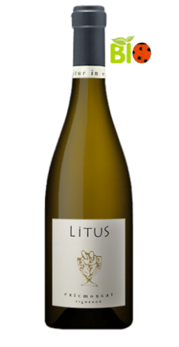 Eric Morgat - Anjou Litus 2013