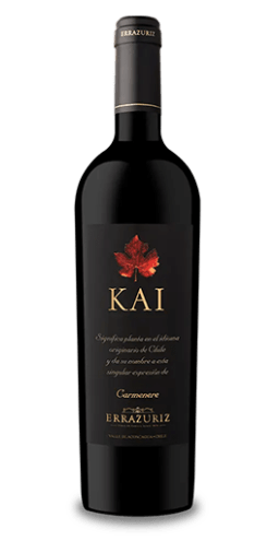 Errazuriz-Aconcagua Kai Valley 2020