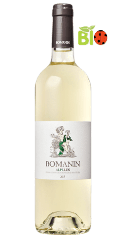 Romanin 2015
