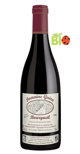 Domaine Stéphane Guion - Bourgueil Prestige BIO 2006